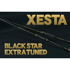 XESTA Black Star Extra Tuned S84MH-T 2,55m 1,5-18g