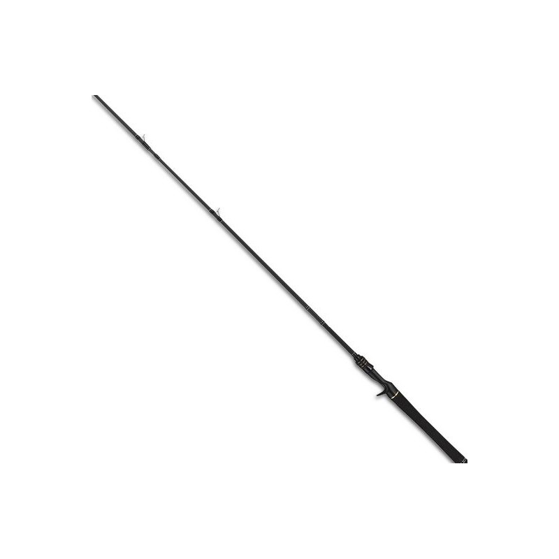 TAILWALK spiningas Fullrange C83XH/CC 2,51m 14-85g (casting)