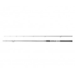 SHIMANO spiningas Salty Advance Spinning Sea Bass 9'0'' (2,74m 6-32g)